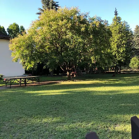 Gold Gasthuis Zamárdi