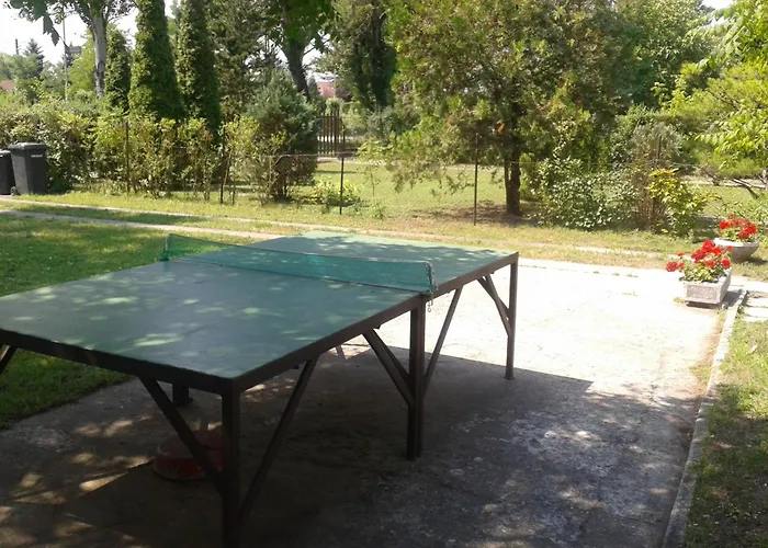 بيت ضيافة Gold زاماردي